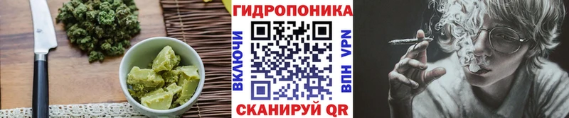 Купить закладки  Староминская  Еда ТГК конопля 